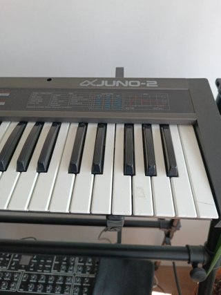 Roland Juno Alpha-2 Sintetizador Teclado