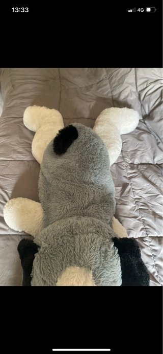 Peluche cane Lelly gigante