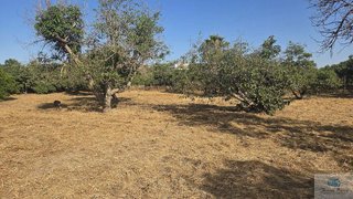 Terreno en venta en Los Rios - CARE en Mijas