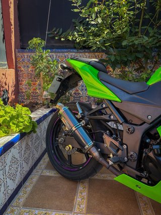 Kawasaki Ninja 250R Verde