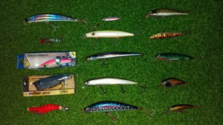 2 cañas de pesca + 2 carretes + kit de pesca