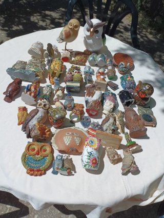 Magnifica collezione di figure di gufi.