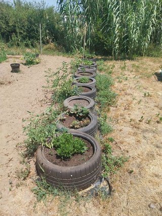 Terreno en venta en Escala, L´