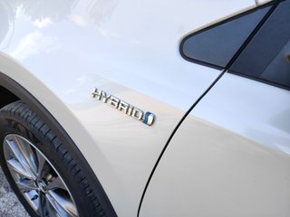 Toyota Rav4 2.5l hybrid 2WD Executive