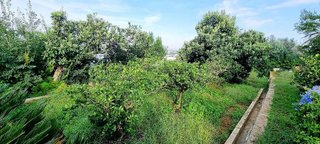 Chalet en venta en Carcaixent