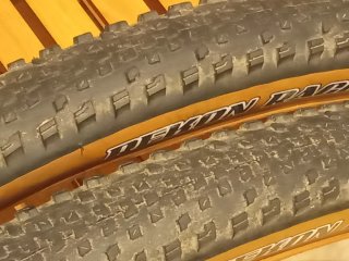 Llanta 29 Mavic + 2 Neumáticos 29x2.25