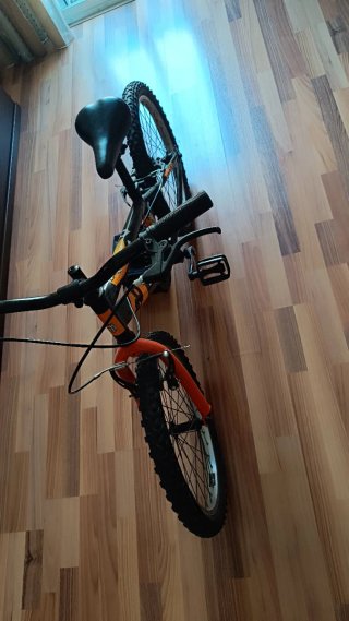 Bicicleta Infantil 20 Pulgadas