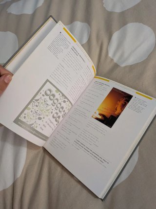 Manual del diseñador freelance.