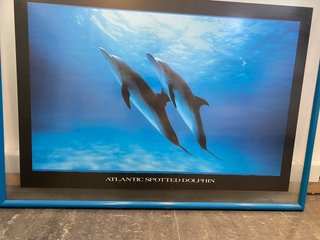 Lámina de delfines con marco de madera