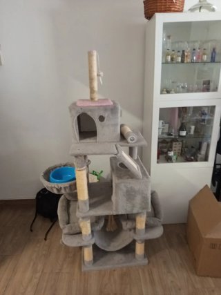 Árbol rascador para gatos