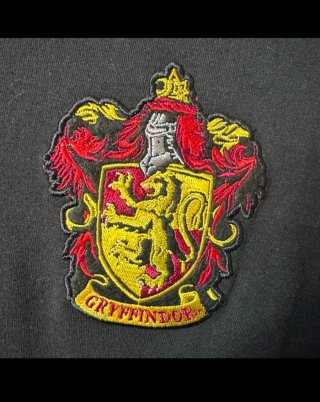 Camiseta Harry Potter Gryffindor Quidditch