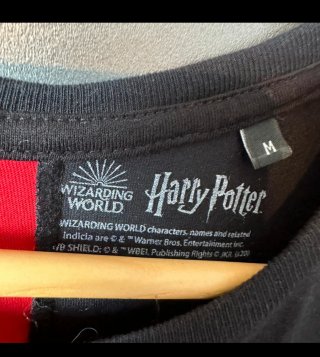 Camiseta Harry Potter Gryffindor Quidditch