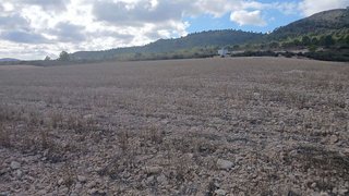 Terreno en venta en Yecla