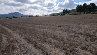 Terreno en venta en Yecla