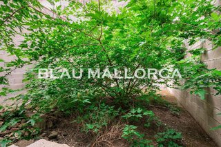 Casa adosada en venta en Manacor Centro en Manacor