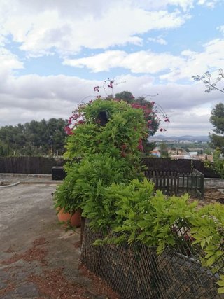 Chalet en venta en Centro en Chiva
