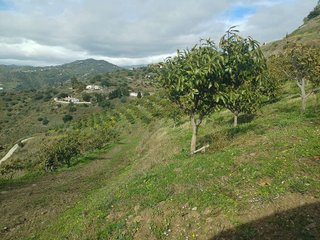 Terreno en venta en Algarrobo en Algarrobo