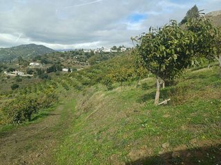 Terreno en venta en Algarrobo en Algarrobo