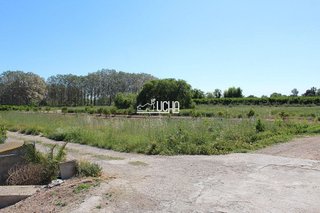Nave industrial en alquiler en Centro en Bétera