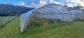 Invernadero 10x40m