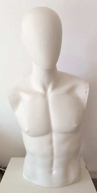 Maniquí Torso Hombre (80x40 cm)