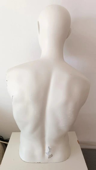 Maniquí Torso Hombre (80x40 cm)