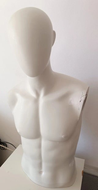 Maniquí Torso Hombre (80x40 cm)