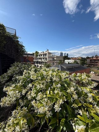 Dúplex en alquiler en Nueva España en Madrid