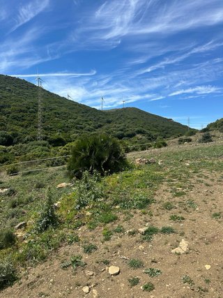 Terreno en Venta en Tarifa