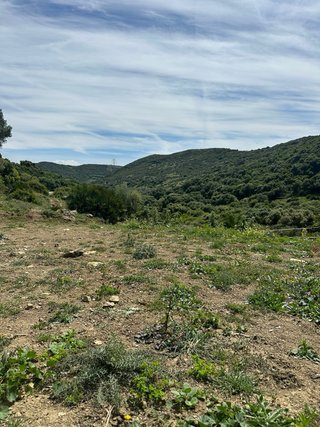 Terreno en Venta en Tarifa