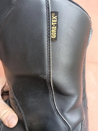 Alpinestars Web Gore-Tex Negras y Dainise torque