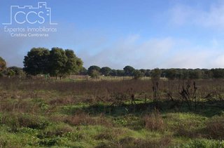 Terreno en venta en Almonte en Almonte