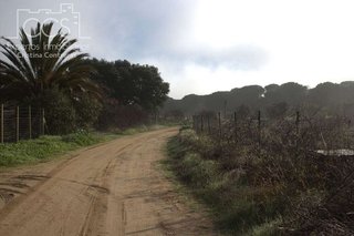 Terreno en venta en Almonte en Almonte