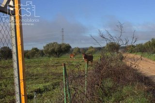 Terreno en venta en Almonte en Almonte