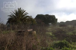 Terreno en venta en Almonte en Almonte