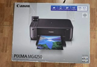 Canon Pixma MG4250 Impresora Multifunción