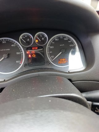 Peugeot 307 2004