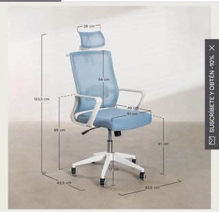 Silla de escritorio ergonómica + cojín de regalo