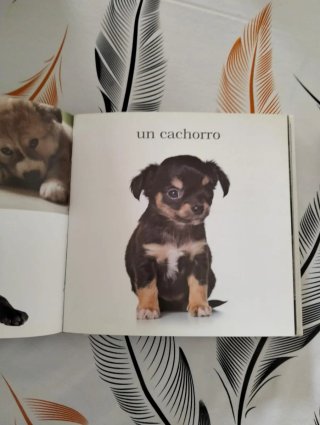 Mini Álbum de los animales