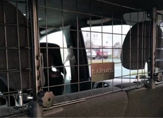 Reja para perros coche incompleto