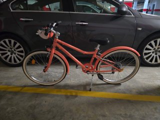 Bicicleta RIVERSIDE Coral