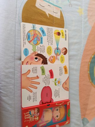 Nuestro cuerpo aprende cómo funciona