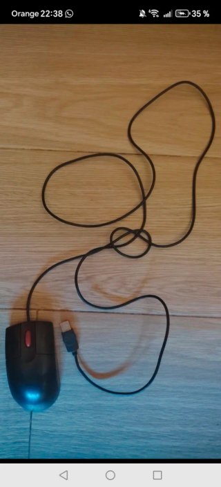 Ratón IBM USB Negro y Rojo