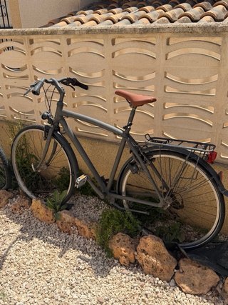 Bicicleta de paseo gris