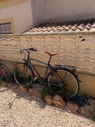 Bicicleta de paseo gris