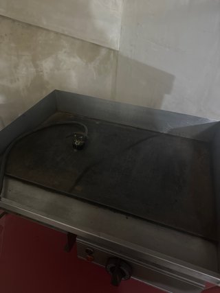 Plancha Eléctrica Profesional