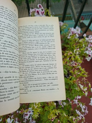 Momo o, la extraña historia de los ladrones del...