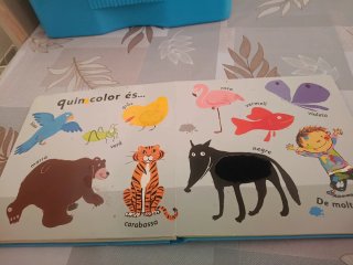 El gran llibre de paraules i textures