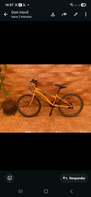2 Bicicletas Montaña