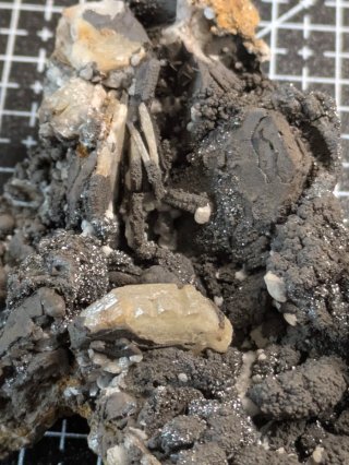 Lotto di minerali e fossili